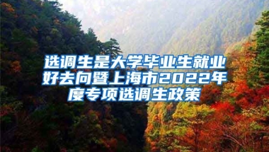 選調(diào)生是大學(xué)畢業(yè)生就業(yè)好去向暨上海市2022年度專項(xiàng)選調(diào)生政策