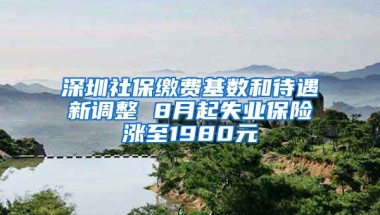 深圳社保繳費(fèi)基數(shù)和待遇新調(diào)整 8月起失業(yè)保險(xiǎn)漲至1980元