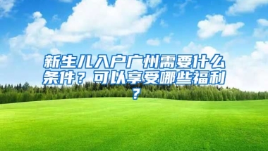 新生兒入戶廣州需要什么條件？可以享受哪些福利？