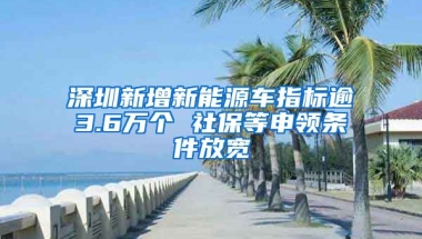 深圳新增新能源車(chē)指標(biāo)逾3.6萬(wàn)個(gè) 社保等申領(lǐng)條件放寬