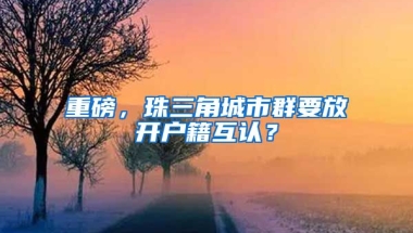 重磅，珠三角城市群要放開戶籍互認？