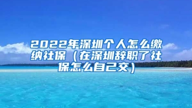 2022年深圳個人怎么繳納社保（在深圳辭職了社保怎么自己交）