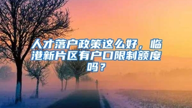 人才落戶政策這么好，臨港新片區(qū)有戶口限制額度嗎？