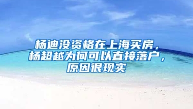 楊迪沒資格在上海買房，楊超越為何可以直接落戶，原因很現(xiàn)實