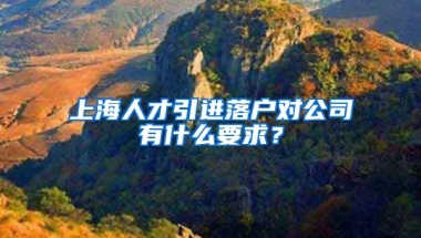 上海人才引進(jìn)落戶對(duì)公司有什么要求？