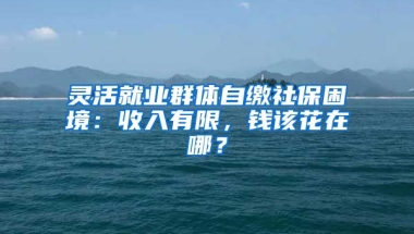 靈活就業(yè)群體自繳社保困境：收入有限，錢該花在哪？