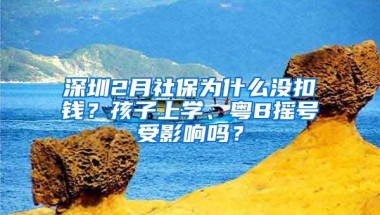 深圳2月社保為什么沒扣錢？孩子上學(xué)、粵B搖號(hào)受影響嗎？