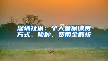 深圳社保：個人參保繳費方式、險種、費用全解析