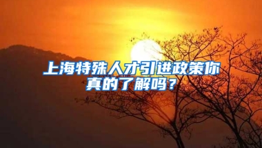 上海特殊人才引進(jìn)政策你真的了解嗎？