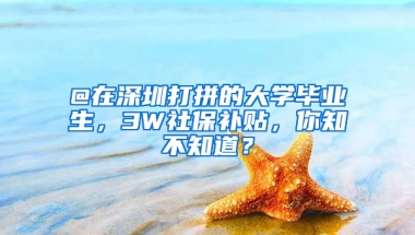 @在深圳打拼的大學(xué)畢業(yè)生，3W社保補貼，你知不知道？