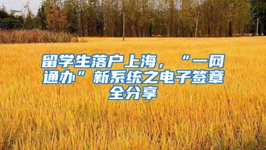 留學(xué)生落戶上海，“一網(wǎng)通辦”新系統(tǒng)之電子簽章全分享