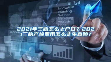 2021年三胎怎么上戶口？2021三胎產(chǎn)檢費(fèi)用怎么走生育險？