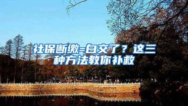 社保斷繳=白交了？這三種方法教你補救