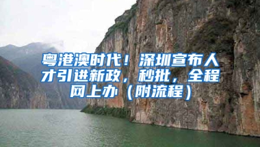 粵港澳時代！深圳宣布人才引進新政，秒批，全程網(wǎng)上辦（附流程）