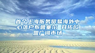 首個(gè)上海服務(wù)貿(mào)易海外中心落戶布魯塞爾 開拓歐盟廣闊市場(chǎng)