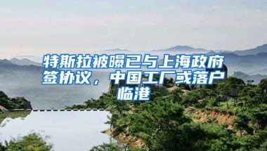 特斯拉被曝已與上海政府簽協(xié)議，中國(guó)工廠或落戶臨港