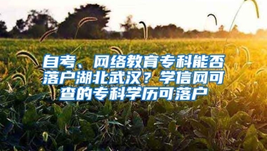 自考、網(wǎng)絡(luò)教育專科能否落戶湖北武漢？學(xué)信網(wǎng)可查的?？茖W(xué)歷可落戶