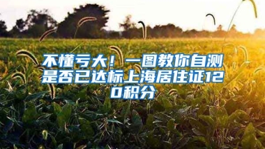 不懂虧大！一圖教你自測(cè)是否已達(dá)標(biāo)上海居住證120積分