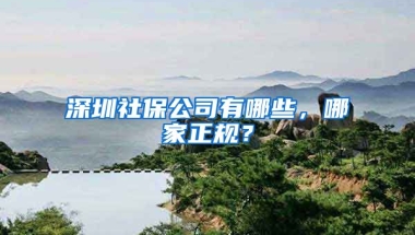 深圳社保公司有哪些，哪家正規(guī)？