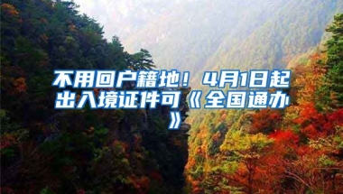 不用回戶籍地！4月1日起出入境證件可《全國通辦》