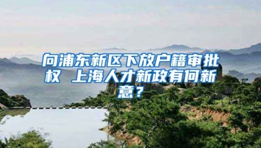 向浦東新區(qū)下放戶籍審批權 上海人才新政有何新意？