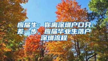 應(yīng)屆生：你離深圳戶口只差一步，應(yīng)屆畢業(yè)生落戶深圳流程