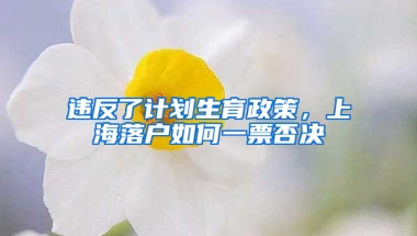 違反了計劃生育政策，上海落戶如何一票否決