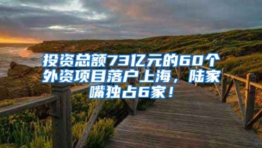 投資總額73億元的60個(gè)外資項(xiàng)目落戶上海，陸家嘴獨(dú)占6家！