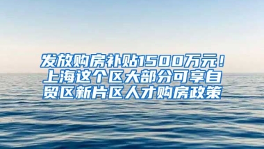 發(fā)放購房補(bǔ)貼1500萬元！上海這個(gè)區(qū)大部分可享自貿(mào)區(qū)新片區(qū)人才購房政策