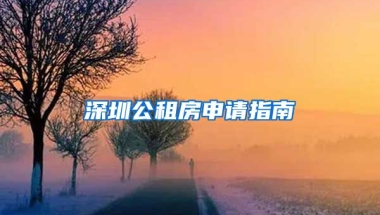 深圳公租房申請指南