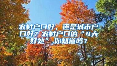 農(nóng)村戶口好，還是城市戶口好？農(nóng)村戶口的“4大好處”,你知道嗎？