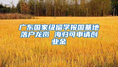 廣東國家級留學(xué)報國基地落戶龍崗 海歸可申請創(chuàng)業(yè)金