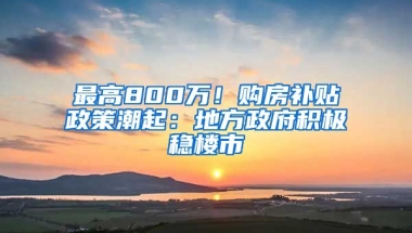 最高800萬！購房補貼政策潮起：地方政府積極穩(wěn)樓市