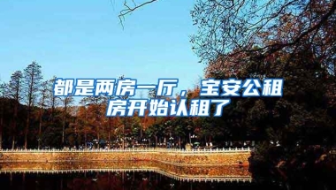 都是兩房一廳，寶安公租房開始認(rèn)租了