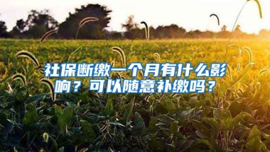 社保斷繳一個(gè)月有什么影響？可以隨意補(bǔ)繳嗎？