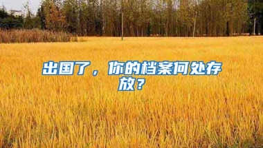 出國了，你的檔案何處存放？