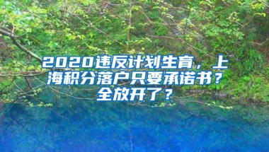 2020違反計(jì)劃生育，上海積分落戶只要承諾書？全放開了？