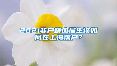 2021非戶籍應(yīng)屆生該如何在上海落戶？