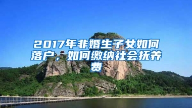 2017年非婚生子女如何落戶，如何繳納社會(huì)撫養(yǎng)費(fèi)