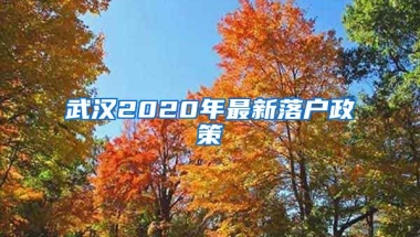 武漢2020年最新落戶政策