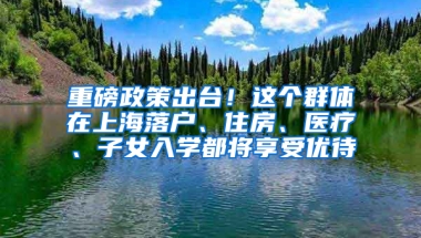 重磅政策出臺！這個群體在上海落戶、住房、醫(yī)療、子女入學(xué)都將享受優(yōu)待